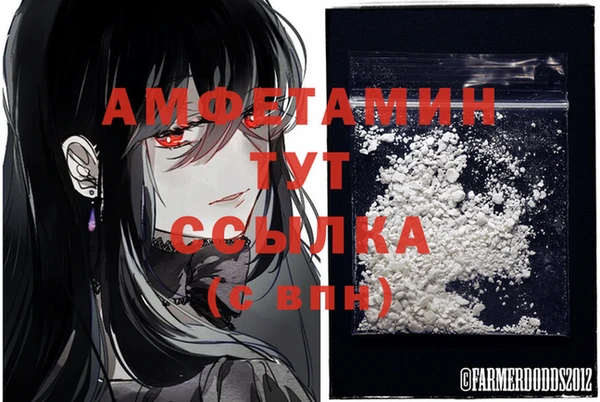 экстази Гусев