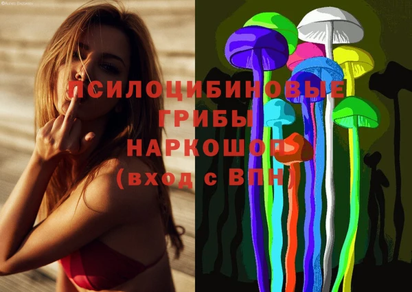 бутират Вяземский