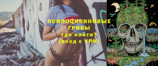 амф Вязьма