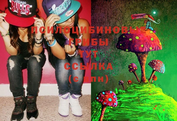 MDMA Гусь-Хрустальный