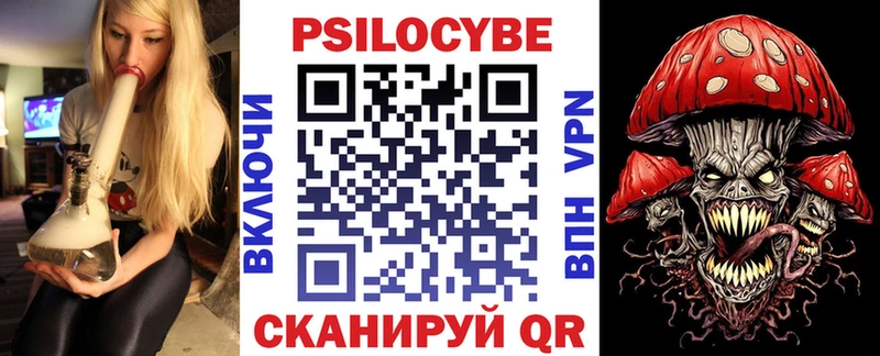 Галлюциногенные грибы Psilocybe  Дмитровск 
